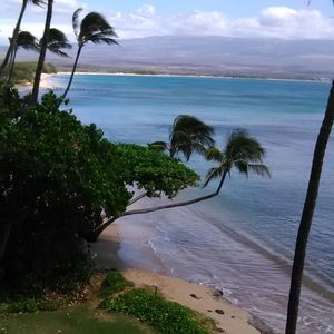 Meet your Posher, Dot